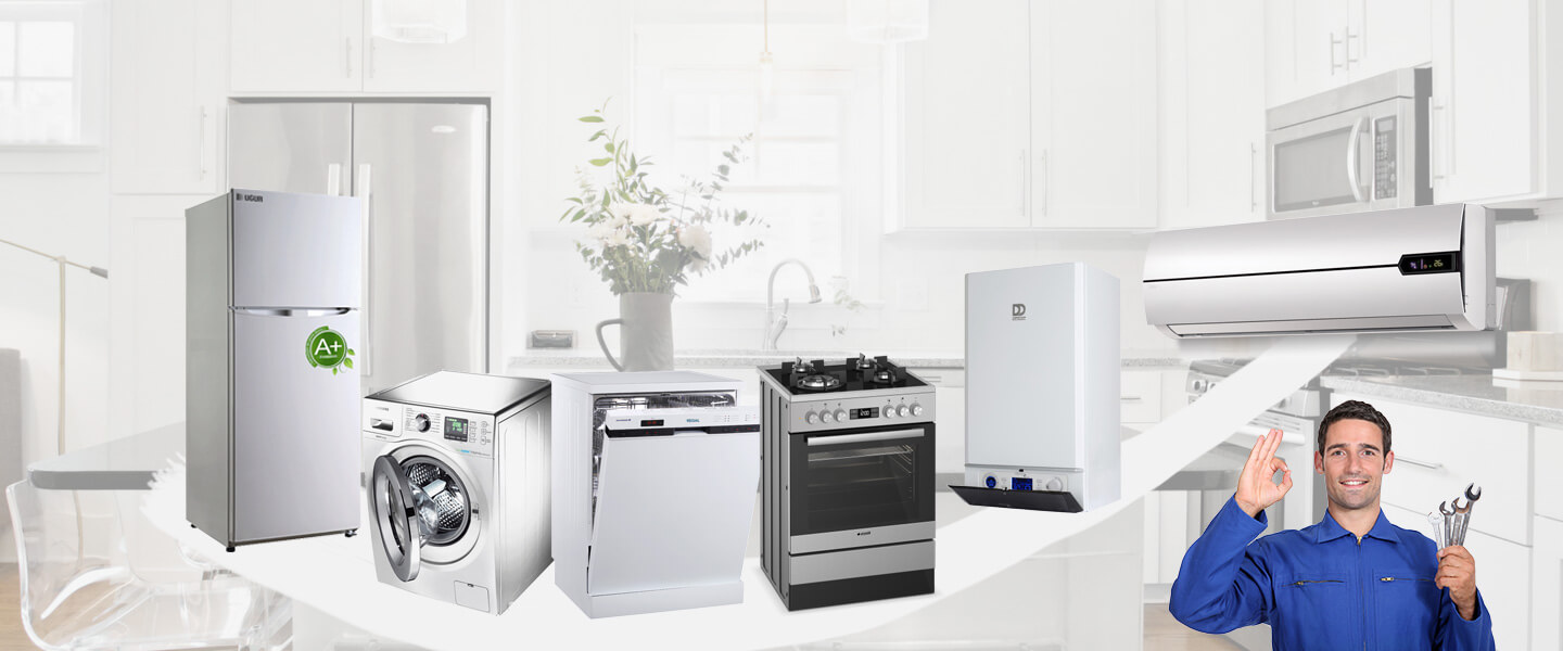 Çaldıran Westinghouse Servisi